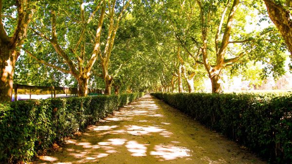 Walking Path Santarém (photo: CVR Tejo)