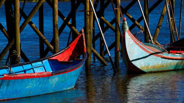 Antique Boats (photo: CVR Tejo)