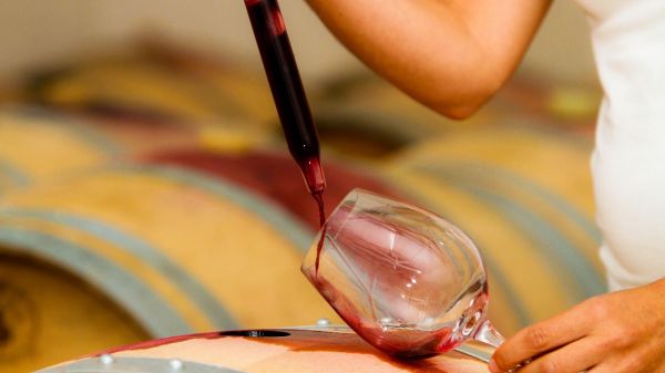 Winemaking (photo: CVR Tejo)
