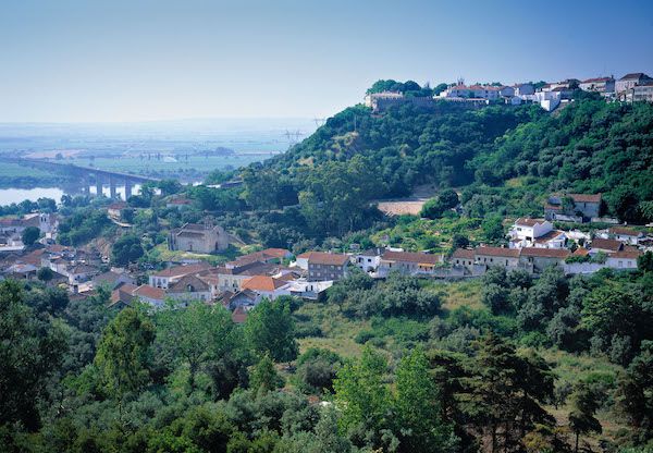 Wines of Tejo International Wine Challenge Results