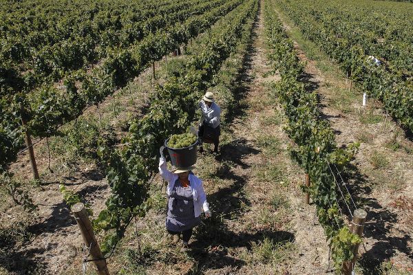 Under the Radar Values: Portugal
