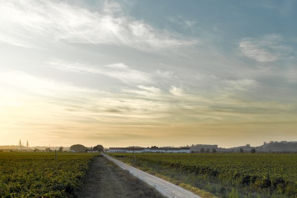 How to Reinvent A Winery, Portuguese Style