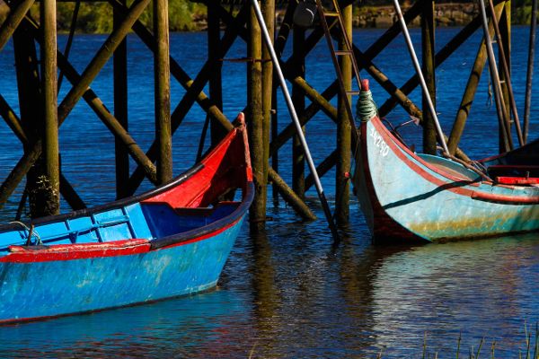 A Primer on Portugal: Great Wines from Portugal that aren't Port and Madeira