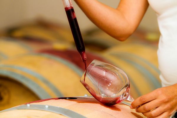Portugal Beyond Port: A Guide to Europe's Most Underrated Table Wines