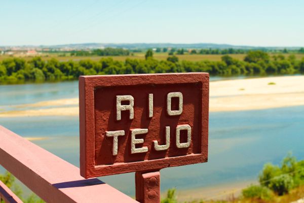 Year's Best: Portuguese Wines